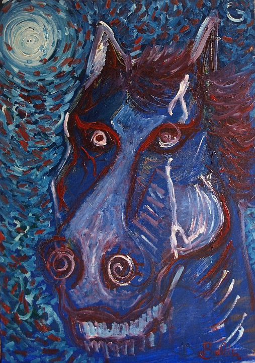 CAVALLO NELLA NOTTE